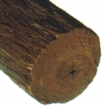 Гваяковое дерево