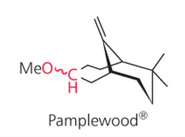 Pamplewood®