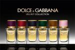 Velvet Collection Dolce&Gabbana