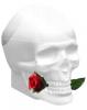 Ed Hardy Skulls & Roses for Her, Christian Audigier