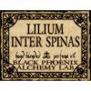 Lilium Inter Spinas, Black Phoenix Alchemy Lab