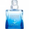 Samouraï Aquamarine, Samouraï