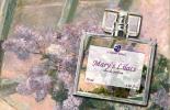 Mary’s Lilacs
