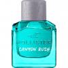 Canyon Rush for Him, Hollister