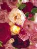 La Rose Legere, Les Parfums de Rosine