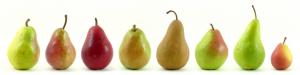 Прикрепленное изображение: Eight_varieties_of_pears.jpg