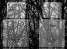 Прикрепленное изображение: 5dbcc6cc72b6569c75bebf3a98e861b0.jpg