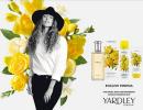 Прикрепленное изображение: 2_yardley_english-freesia_picture.jpg