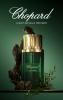 Прикрепленное изображение: Chopard-Cedar_Malaki_flacon_vizual-FAnn-parfumerie-450.jpg