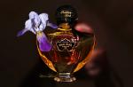 Guerlain, Shalimar Millésime Iris