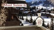 Прикрепленное изображение: 148073_0db3ca133701df93b8a5e038d7f66b6c_mont-suisse-67.jpg