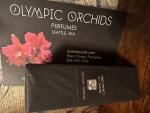 Фото от организатора