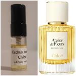 Chloé, Cedrus Intense, Chloe