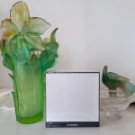 Фото от организатора