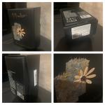 M. Micallef, Chocolate Fondant