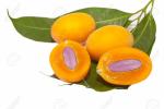 Прикрепленное изображение: 27535438-marian-plum-and-plum-mango-or-in-thailand-call-mayongchid-maprang.jpg