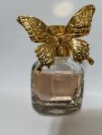 Aristocrazy, Wonder