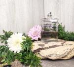 Фото от организатора