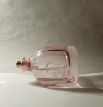 Lanvin, Rumeur 2 Rose