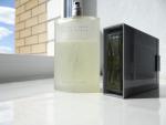 Issey Miyake, L'Eau d'Issey pour Homme