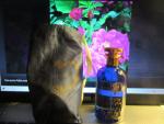 Gucci, A Song For The Rose Eau de Parfum