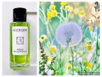 Le Couvent des Minimes, Aqua Millefolia
