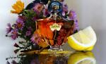 Guerlain, Shalimar Millésime Vanilla Planifolia