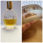 Giorgio Armani, Sensi