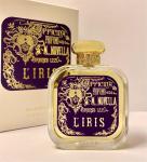 Santa Maria Novella, L'Iris