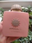 Amouage, Guidance