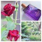 Molinard, Rose Eau de Parfum