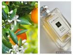 Jo Malone, Orange Blossom