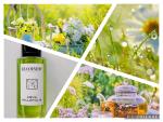 Le Couvent des Minimes, Aqua Millefolia