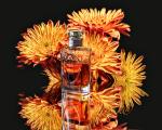 Christian Dior, Diorama Eau de Toilette 2009, Dior