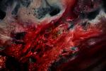 Прикрепленное изображение: cedar-blood.jpg