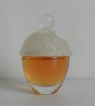 Фото от организатора