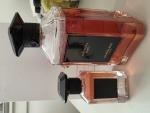 Guerlain, Patchouli Paris