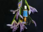 Фото от организатора