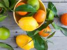 Прикрепленное изображение: listya-citrusy-limon-laym.jpg