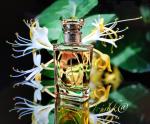 Фото от организатора