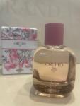 Zara, Orchid 2019