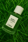 Chloé, Cedrus, Chloe