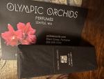 Фото от организатора