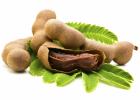 Прикрепленное изображение: home-remedies-for-bruises-tamarind.jpg