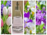 Фото от организатора