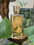 Фото от организатора