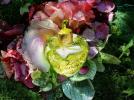 Прикрепленное изображение: 848_b19648f67ab8fad646cc0a1d9169ad26_fleur_defendue_forbidden_flower.jpg