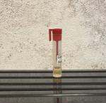 Amouage, Lineage Amouage