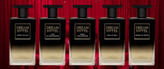 Прикрепленное изображение: Dream-Hotel-min-1.png
