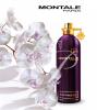 Фото Aoud Purple Rose Montale